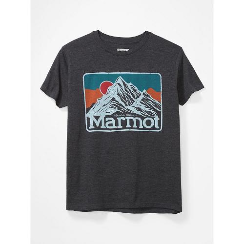 Marmot Mountain Peaks Clothes - Mens T-Shirts Black CA1583796 Canada